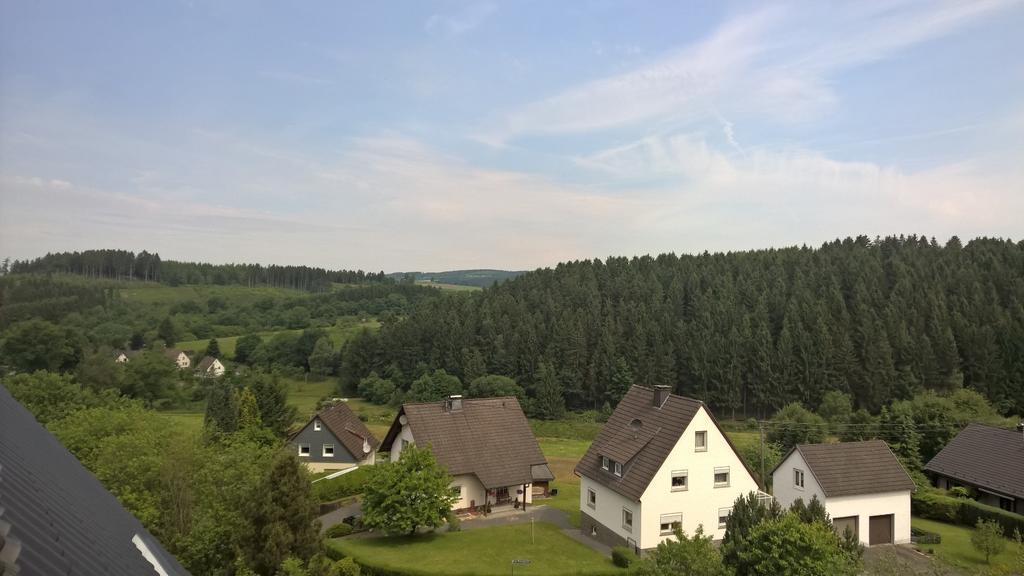 Gaestehaus Villa Ruth Wildbergerhutte Ruang foto